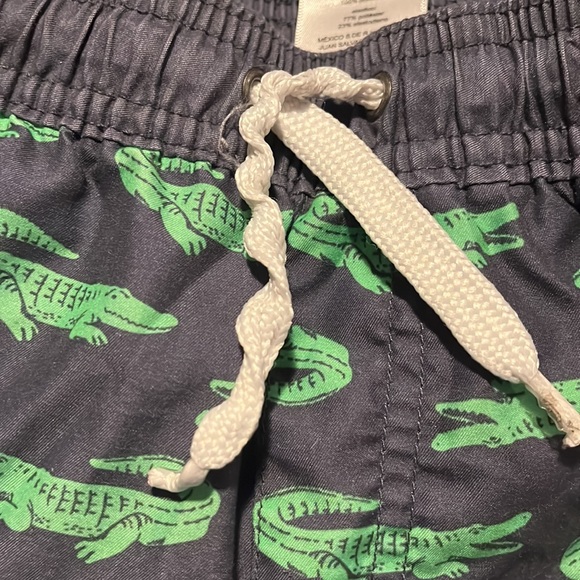 Alligator Swim Trunks Size 2T - Picture 4 of 6